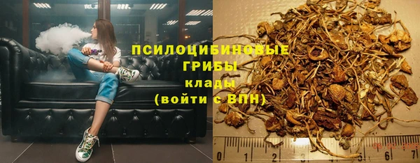амф Балахна