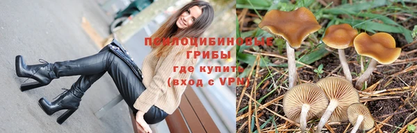 амф Балахна