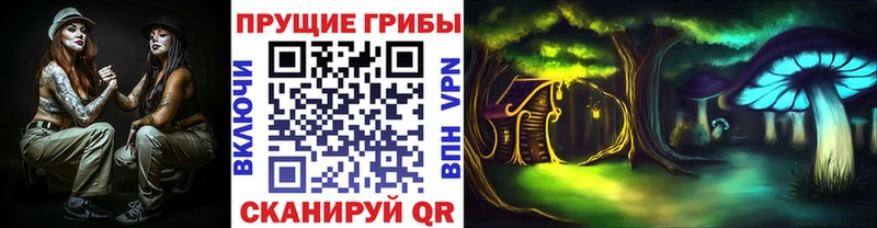хочу наркоту  Абакан  Галлюциногенные грибы Psilocybe 